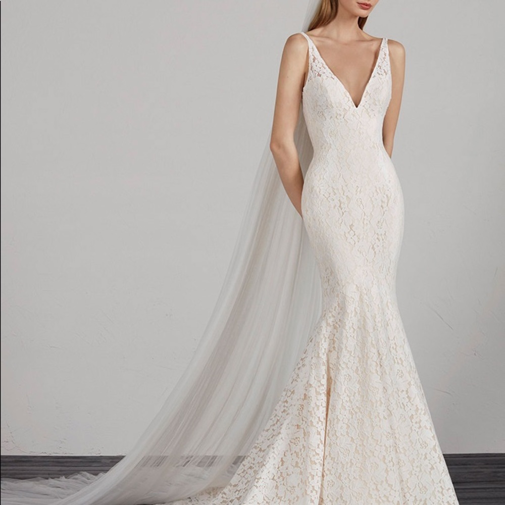 Pronovias Mosaico Wedding Dress